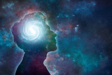 特斯拉x价格/特斯拉x价格走向