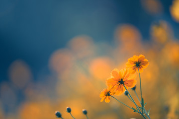 江苏新增3例确诊56例无症状/江苏新增3例确诊56例无症状感染者