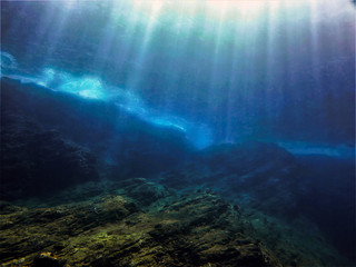 特斯拉x价格/特斯拉x价格走向