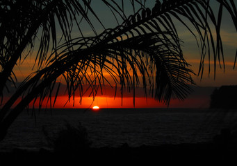 江苏一地3天内阳性感染者破百/江苏 阳性