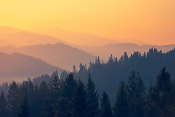 大学生国家补助金什么时候发/2020年大学生补助金什么时候发放