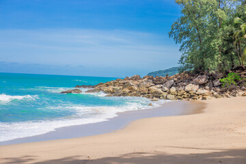 特斯拉x价格/特斯拉x价格走向