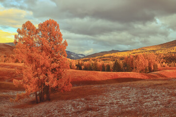 浦东疫情最新情况(浦东浦东疫情)