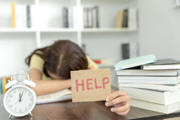 特斯拉x价格/特斯拉x价格走向