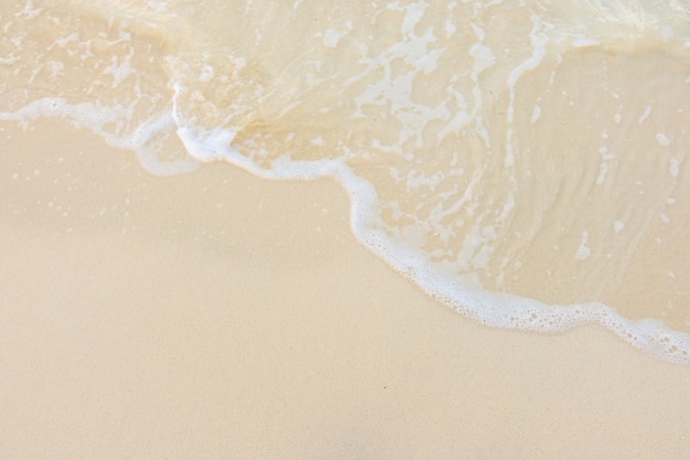 辽宁丹东77个小区封闭管理(丹东市小区)