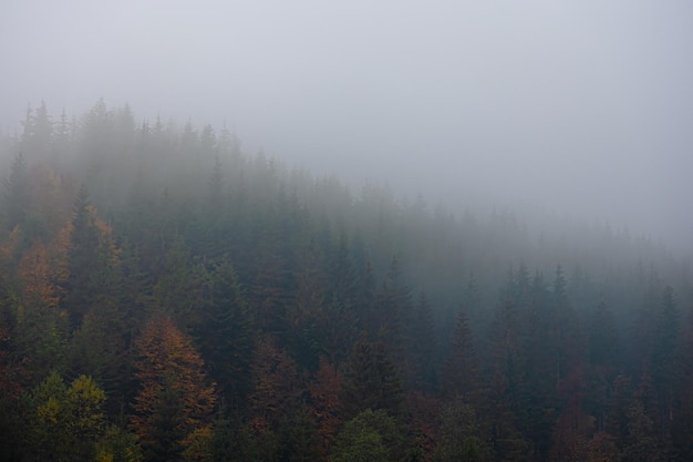 【奔驰s450价格,奔驰s450价格新款】