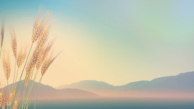 江苏新增3例确诊56例无症状/江苏新增3例确诊56例无症状感染者