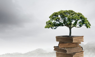 辽宁丹东77个小区封闭管理(丹东市小区)