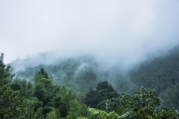 江苏新增3例确诊56例无症状/江苏新增3例确诊56例无症状感染者